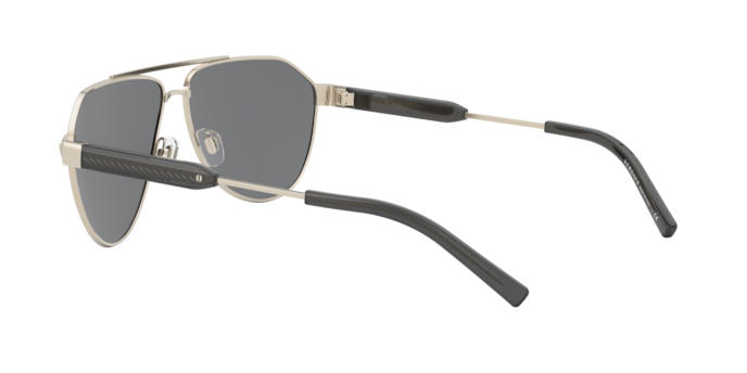 Versace Sunglasses VE2223 GOLD