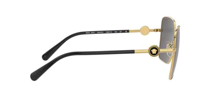 Versace Sunglasses VE2227 GOLD