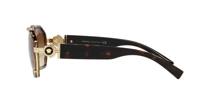 Versace Sunglasses VE2228 HAVANA