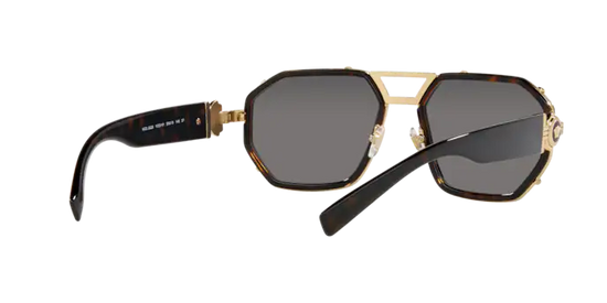 Versace Sunglasses VE2228 HAVANA