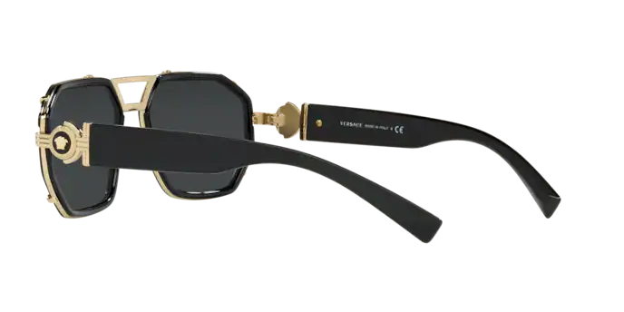 Versace Sunglasses VE2228 BLACK