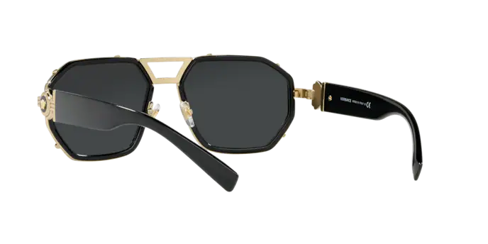 Versace Sunglasses VE2228 BLACK