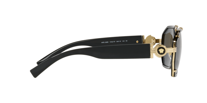 Versace Sunglasses VE2228 BLACK