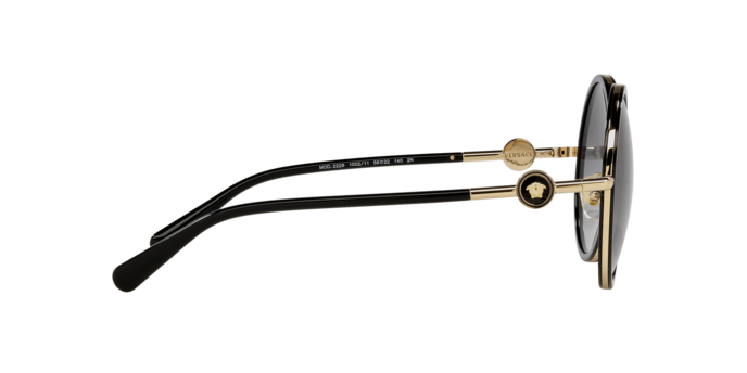 Versace Sunglasses VE2229 BLACK