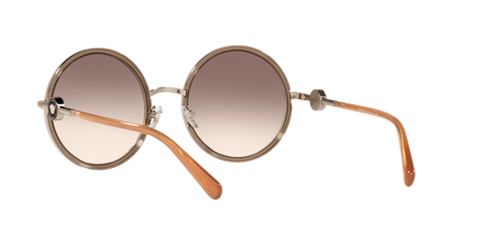 Versace Sunglasses VE2229 TRANSPARENT BROWN