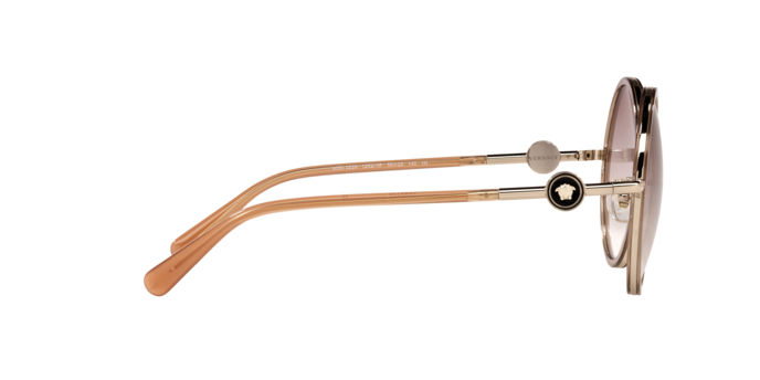 Versace Sunglasses VE2229 TRANSPARENT BROWN