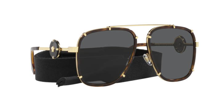 Versace Sunglasses VE2233 HAVANA