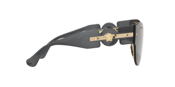 Versace Sunglasses VE2234 TRANSPARENT DARK GREY