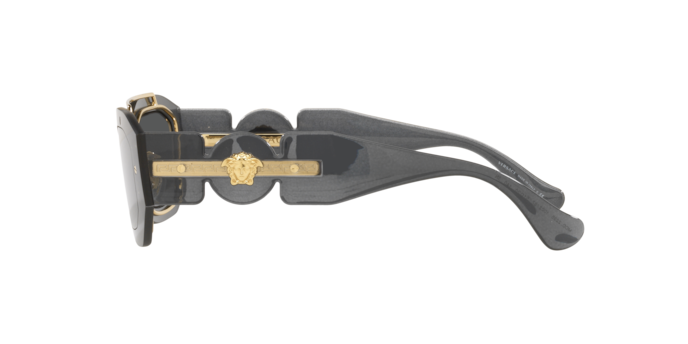 Versace Sunglasses VE2235 TRANSPARENT DARK GREY