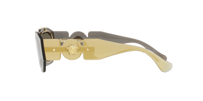 Versace Sunglasses VE2235 TRANSPARENT BROWN MIRROR GOLD