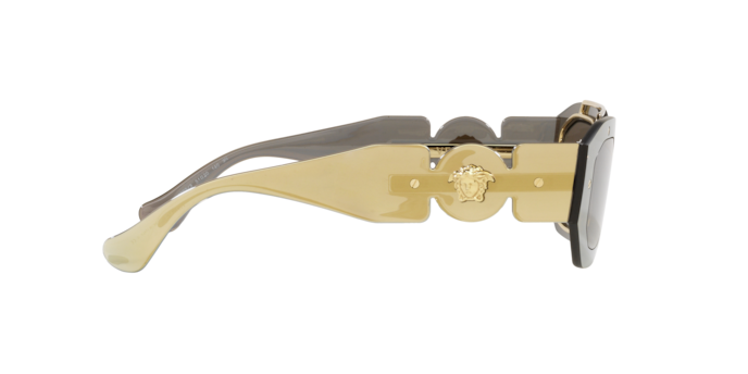 Versace Sunglasses VE2235 TRANSPARENT BROWN MIRROR GOLD