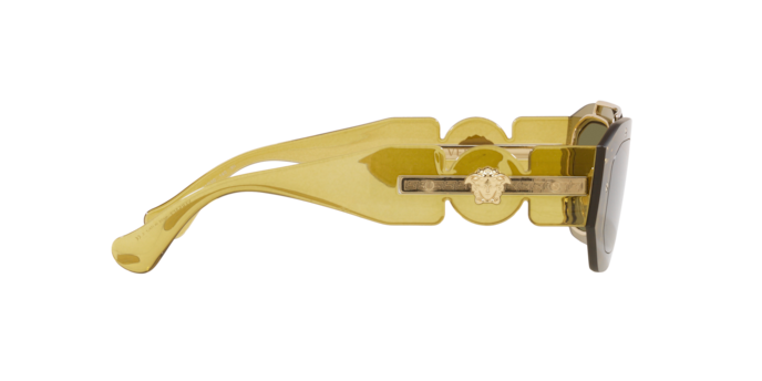 Versace Sunglasses VE2235 TRANSPARENT GREEN