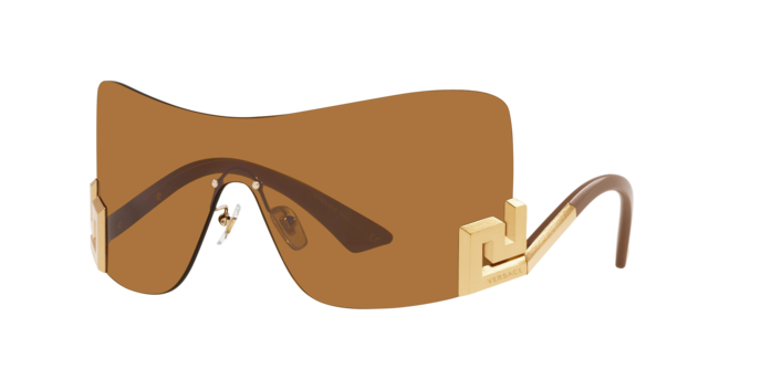 Versace Sunglasses VE2240 BRONZE