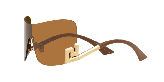 Versace Sunglasses VE2240 BRONZE