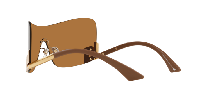 Versace Sunglasses VE2240 BRONZE