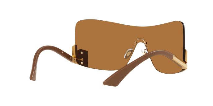 Versace Sunglasses VE2240 BRONZE