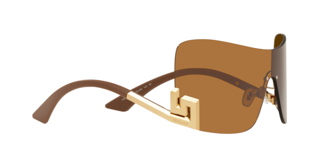 Versace Sunglasses VE2240 BRONZE