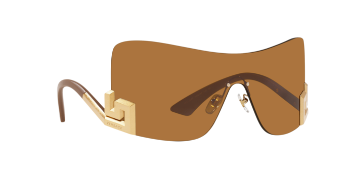 Versace Sunglasses VE2240 BRONZE