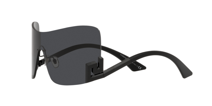 Versace Sunglasses VE2240 GREY