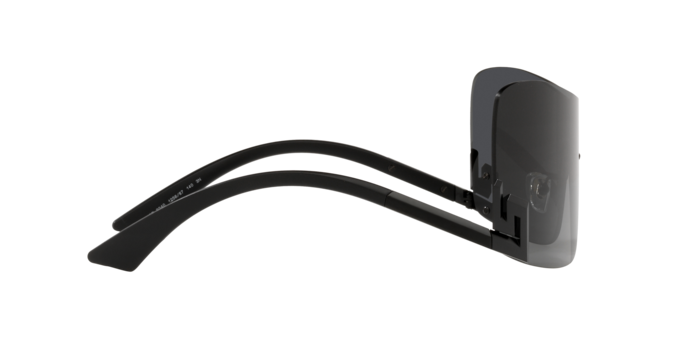 Versace Sunglasses VE2240 GREY