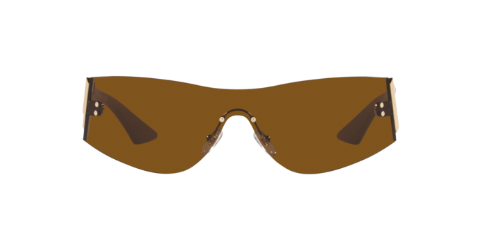 Versace Sunglasses VE2241 BRONZE