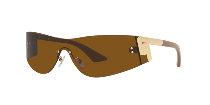 Versace Sunglasses VE2241 BRONZE