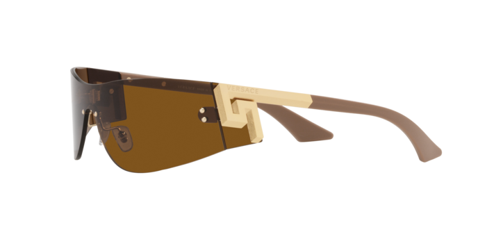 Versace Sunglasses VE2241 BRONZE