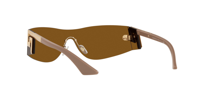 Versace Sunglasses VE2241 BRONZE