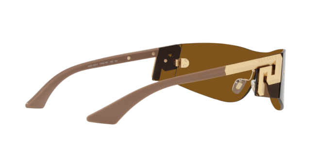 Versace Sunglasses VE2241 BRONZE