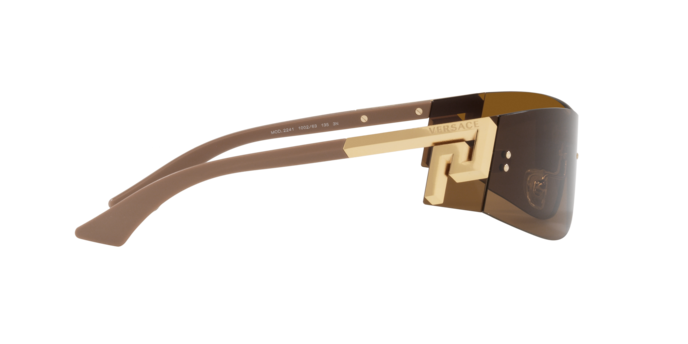 Versace Sunglasses VE2241 BRONZE