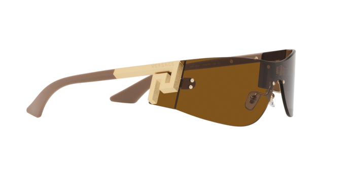 Versace Sunglasses VE2241 BRONZE