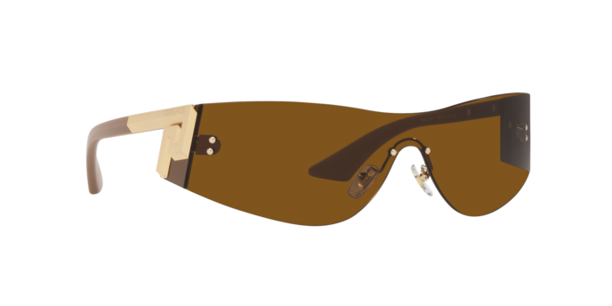 Versace Sunglasses VE2241 BRONZE