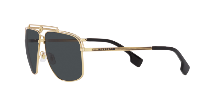 Versace Sunglasses VE2242 GOLD