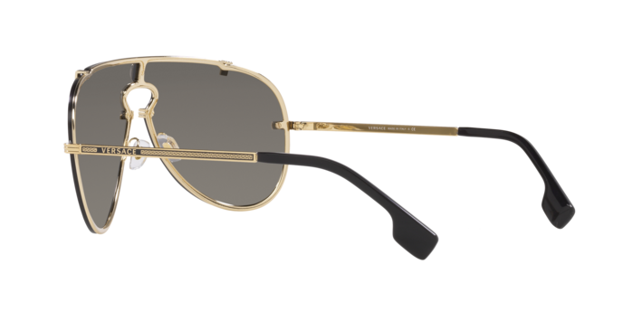Versace Sunglasses VE2243 GOLD