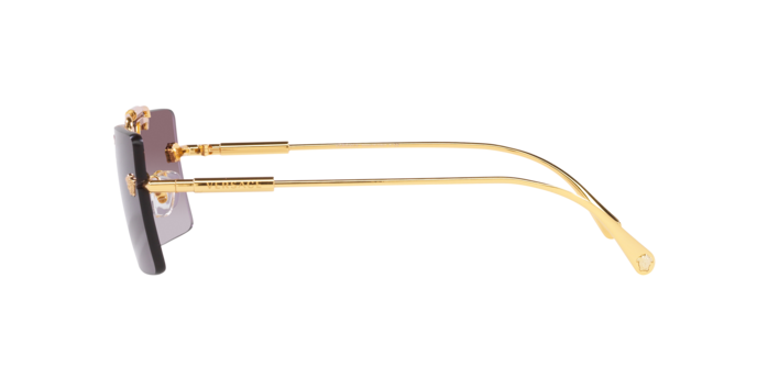 Versace Sunglasses VE2245 GOLD