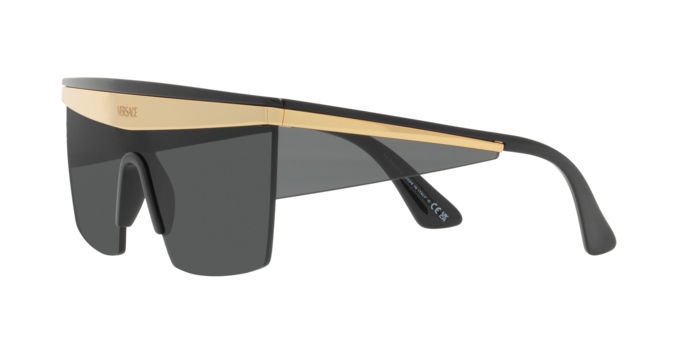 Versace Sunglasses VE2254 BLACK