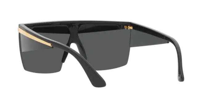 Versace Sunglasses VE2254 BLACK