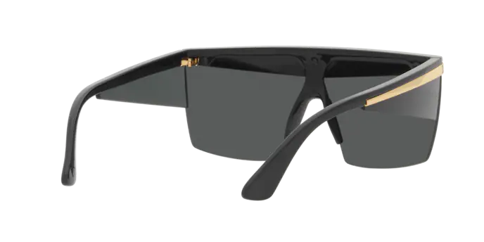 Versace Sunglasses VE2254 BLACK