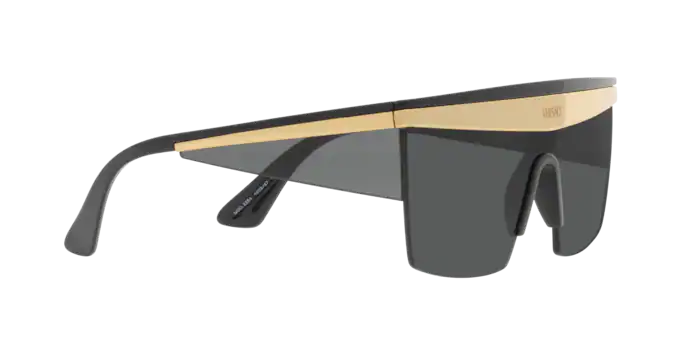 Versace Sunglasses VE2254 BLACK