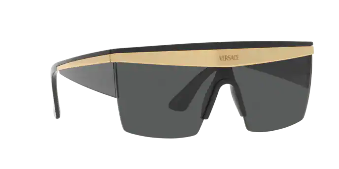 Versace Sunglasses VE2254 BLACK