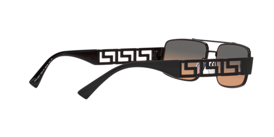 Versace Sunglasses VE2257 MATTE BLACK