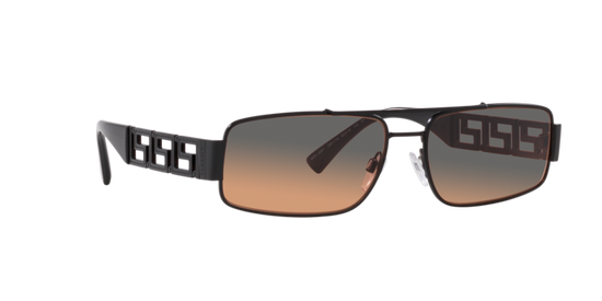 Versace Sunglasses VE2257 MATTE BLACK