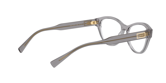 Versace Eyeglasses VE3276 593