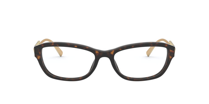 Versace Eyeglasses VE3279 108