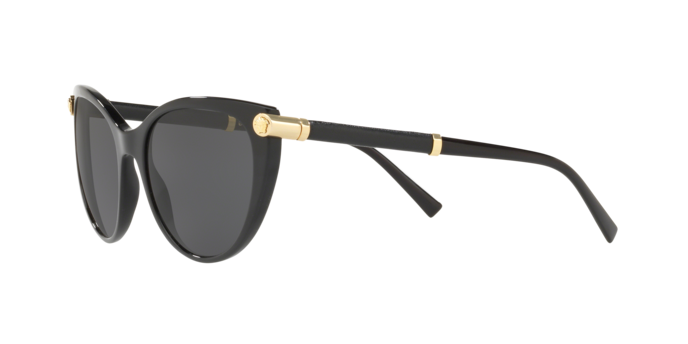 Versace Sunglasses VE4364Q BLACK