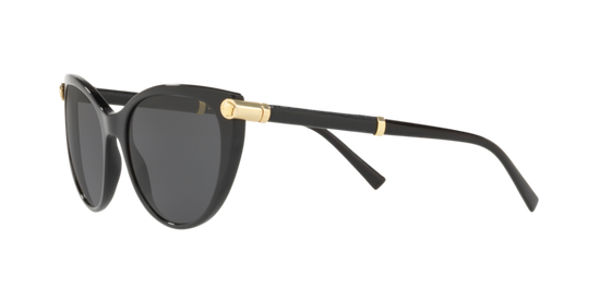 Versace Sunglasses VE4364Q BLACK