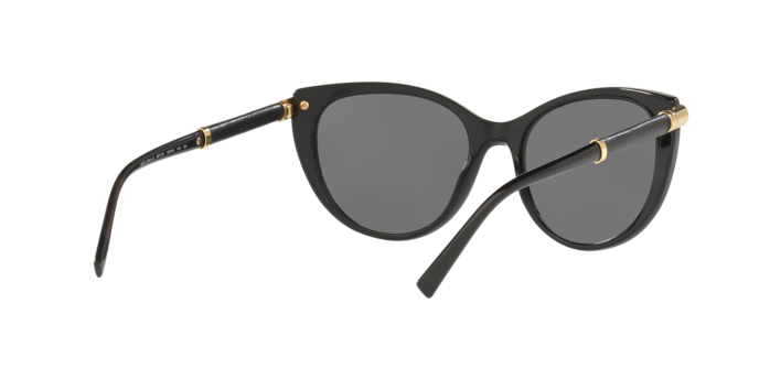 Versace Sunglasses VE4364Q BLACK