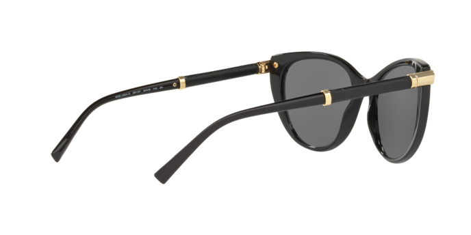 Versace Sunglasses VE4364Q BLACK