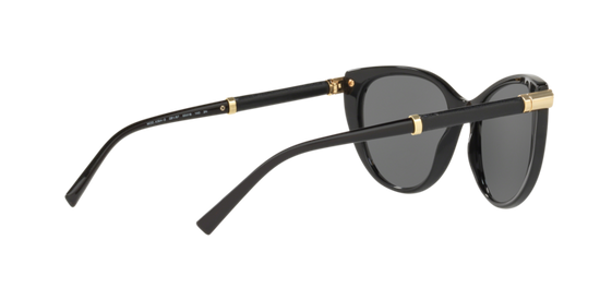 Versace Sunglasses VE4364Q BLACK