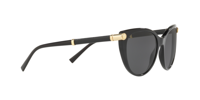 Versace Sunglasses VE4364Q BLACK